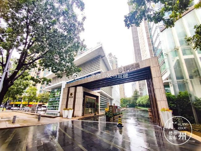 因为，当初那批九玄再造丸，就是这个叶总监给自己的。